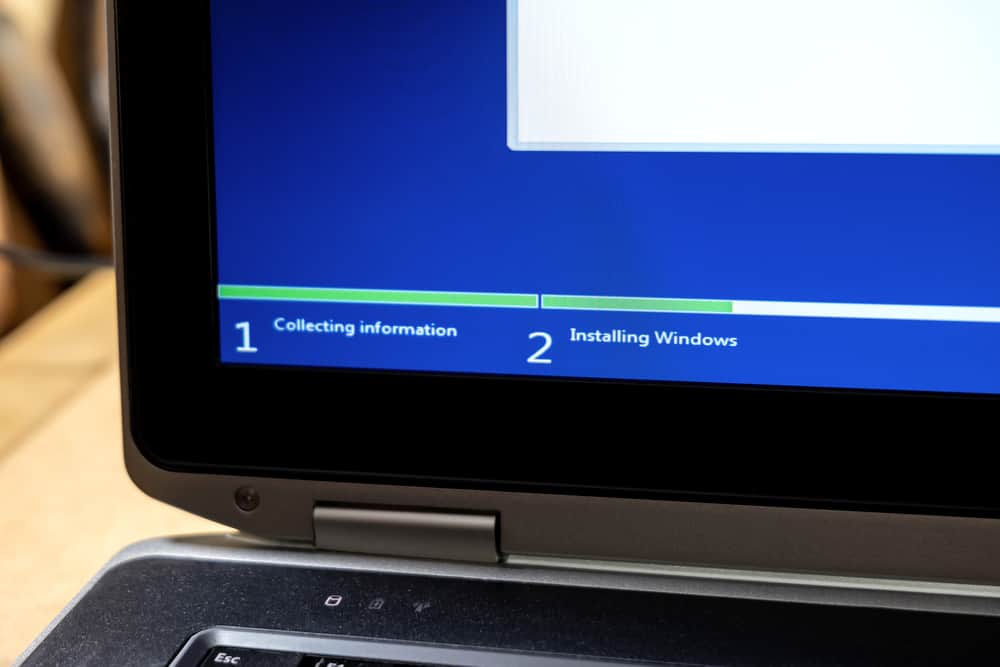Installing Microsoft Windows operating system, progress bar going up